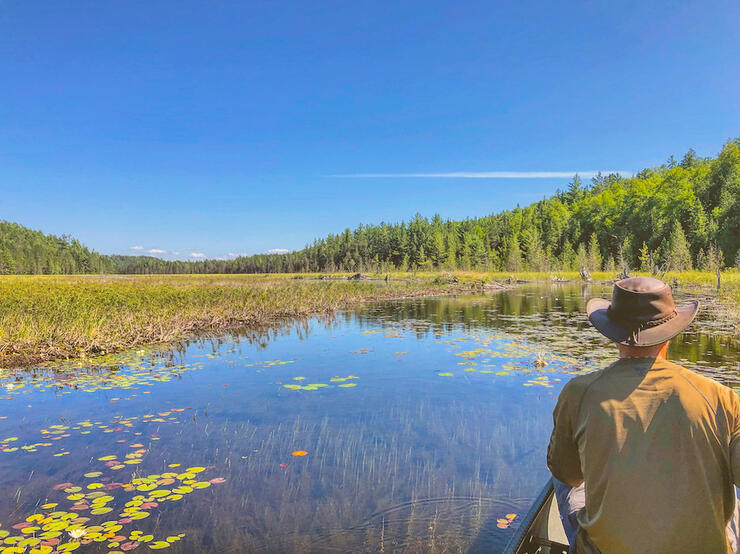 How to Plan a Mississagi River Canoe Trip Northern Ontario Travel